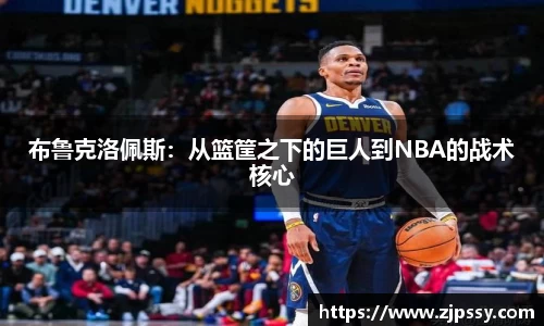 布鲁克洛佩斯：从篮筐之下的巨人到NBA的战术核心